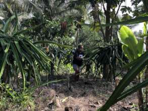biodiversity improvement is great