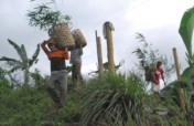 Tree Planting to Improve Biodiversity in Misamis