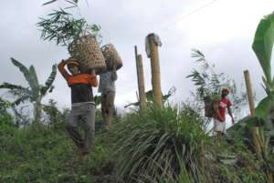 Tree Planting to Improve Biodiversity in Misamis