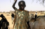 Help Families Rebuild After Famine