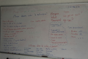 Importancia de cuidar la naturaleza