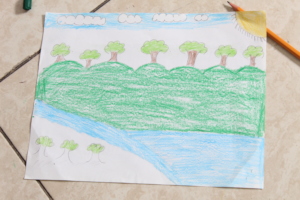 The environment
