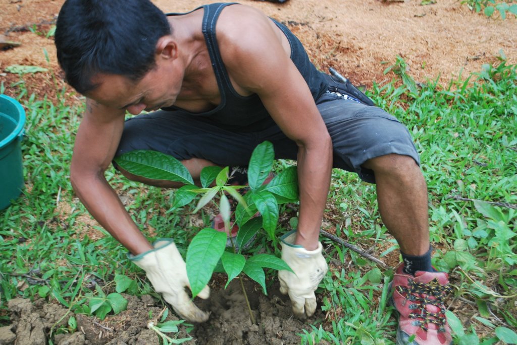 Mindanao Biodiversity Project
