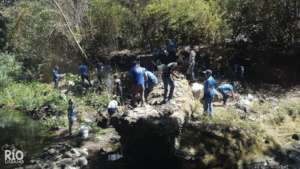 Volunteers cleaning the river
