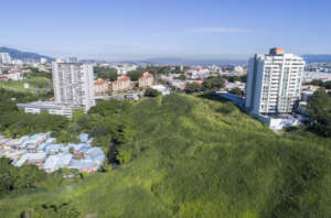 Land for for remediation and planting