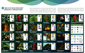 Native, endangered and endemic species
