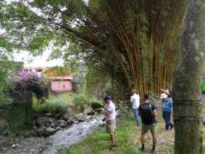 riverbank where trees will be plant