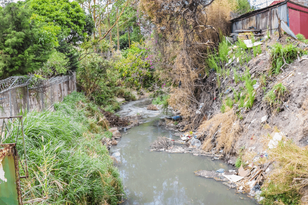 Reforestation of Costa Rica's urban riverbanks