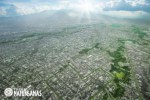 Inspirational biocorridor view in city