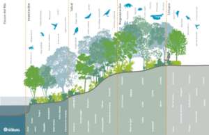 Vegetation Guide for Rehabilitation