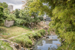 Reforestation of Costa Rica's urban riverbanks