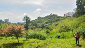 Land for remediation and planting