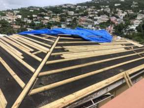 What a roof, What a view!