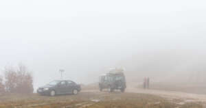 A foggy, cold morning for distributions.