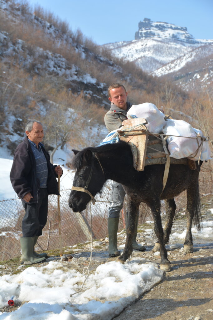 In Albania, Food and Medicine for the Poor
