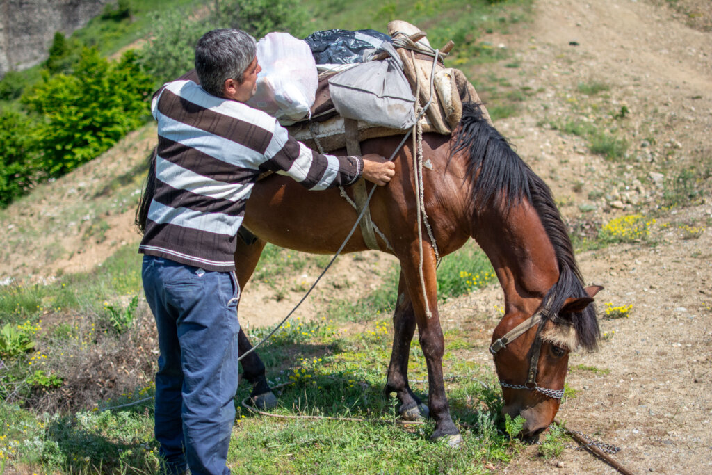 In Albania, Food and Medicine for the Poor