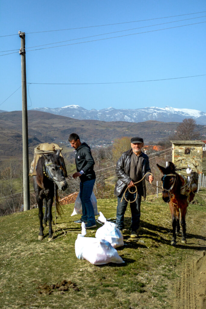 In Albania, Food and Medicine for the Poor