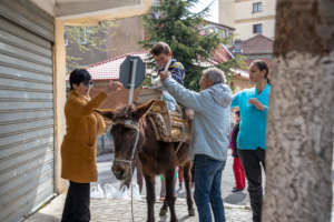 Bringing an aid delivery home by donkey