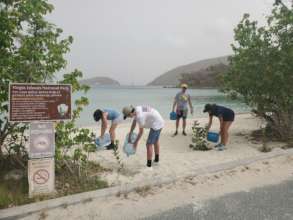 Watering newly planted sea grapes at Maho Bay