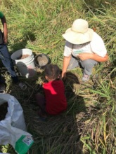 Native tree planting at Southgate Coastal Reserve