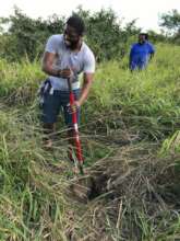 Native tree planting at Southgate Coastal Reserve