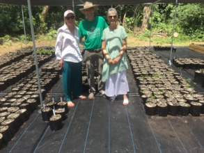 CFVI President at St. Croix Botanical Garden Event