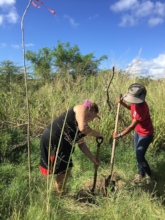 Tree Planting at the Southgate Coastal Reserve