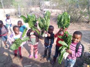 Food grown for the children from the earth