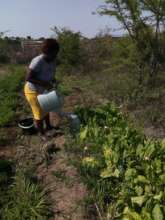 The beauty of teaching to grow food sustainably