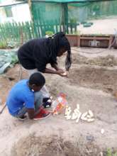 Learning to plant maize from dry corn in season