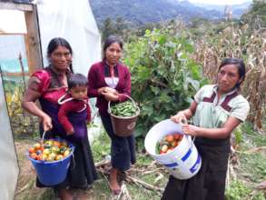 Women and children thankful for the harvest!