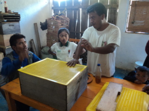 New and experienced beekeepers sharing tips