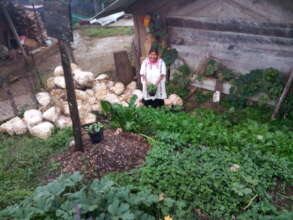 The vegetables produced are free of agrochemicals