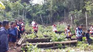 Community garden