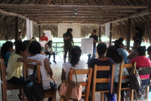 Presenting their plan to the group