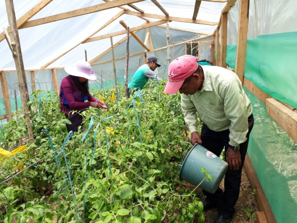 Nutrition for me and all my friends: Chiapas