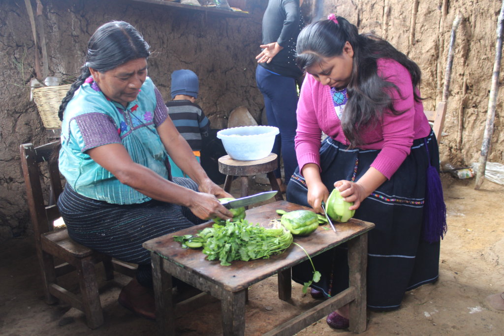 Nutrition for me and all my friends: Chiapas