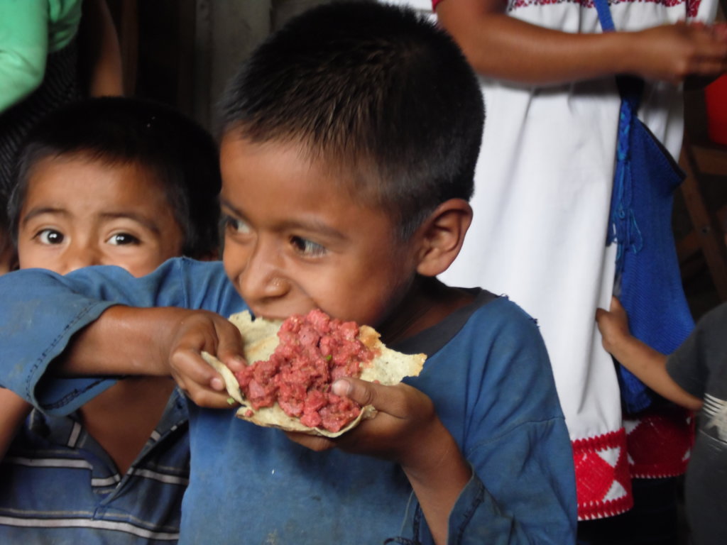 Nutrition for me and all my friends: Chiapas