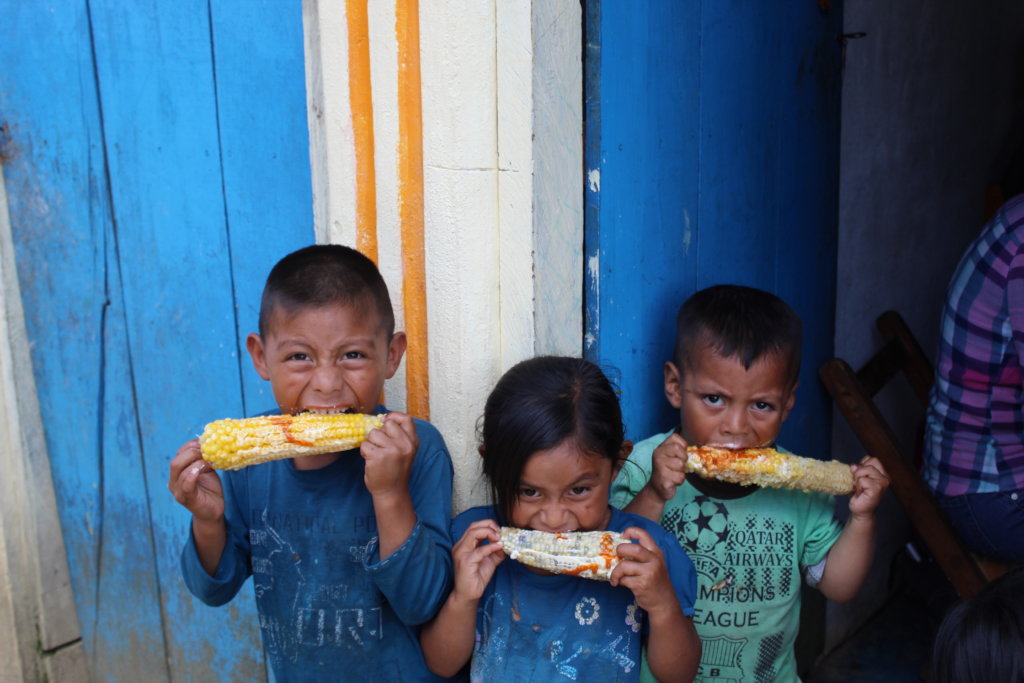 Nutrition for me and all my friends: Chiapas