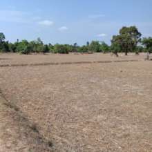 Field for new Sports Complex