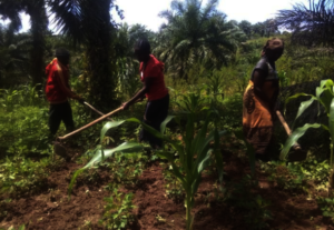 Bernadeta farming with her parents