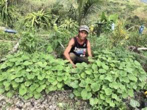 Grow rather than buy food