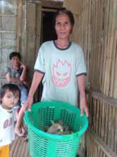 Duck for livelihood and income