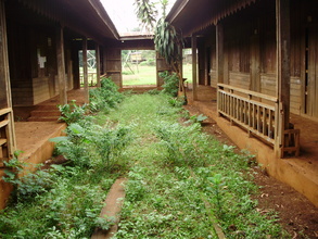 Overgrown and uncared for - another school