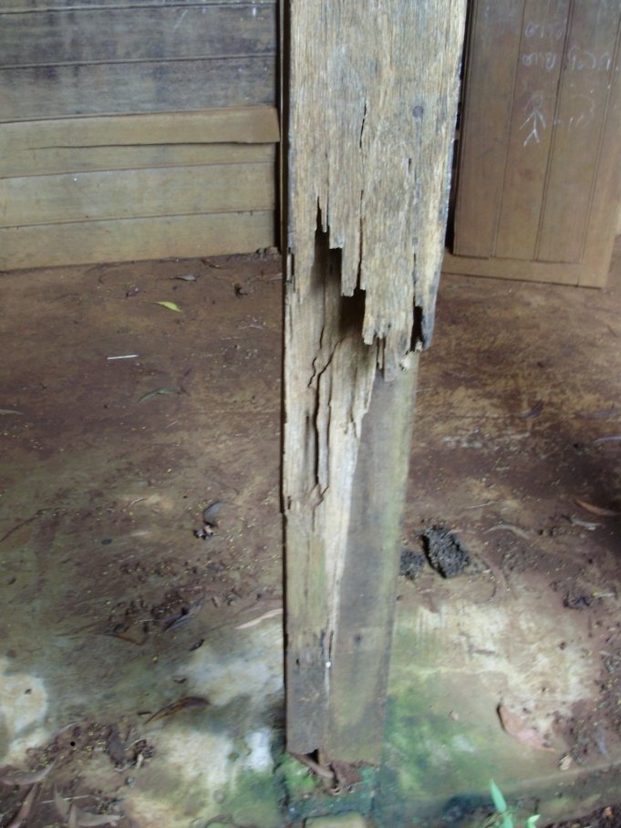 School Renovation in Laos