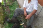Help 30 persons and save 2025 hectares of forest