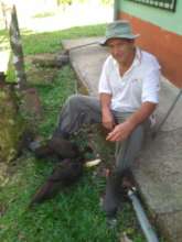 Help 30 persons and save 2025 hectares of forest