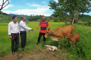 Mr. Hoc officially hands over the cow to Mr. Thin.