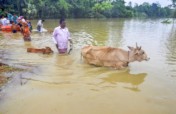 Massive Floods in India: Rahat Calling