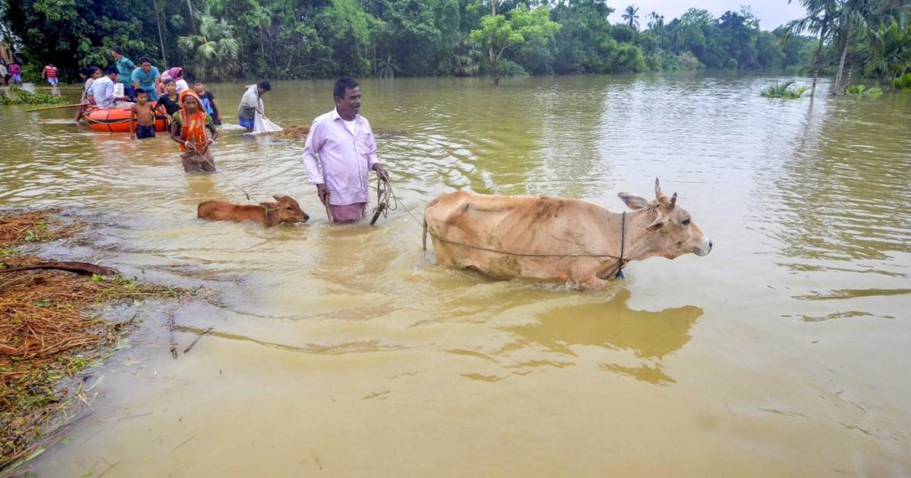 Massive Floods in India: Rahat Calling